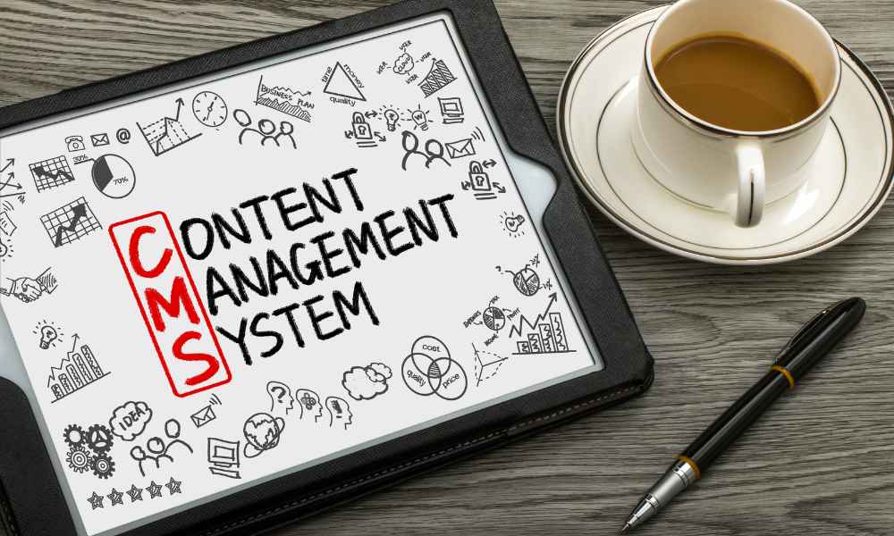 Content Management System For WordPress